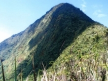 Imagen Cerro Pan de Azúcar